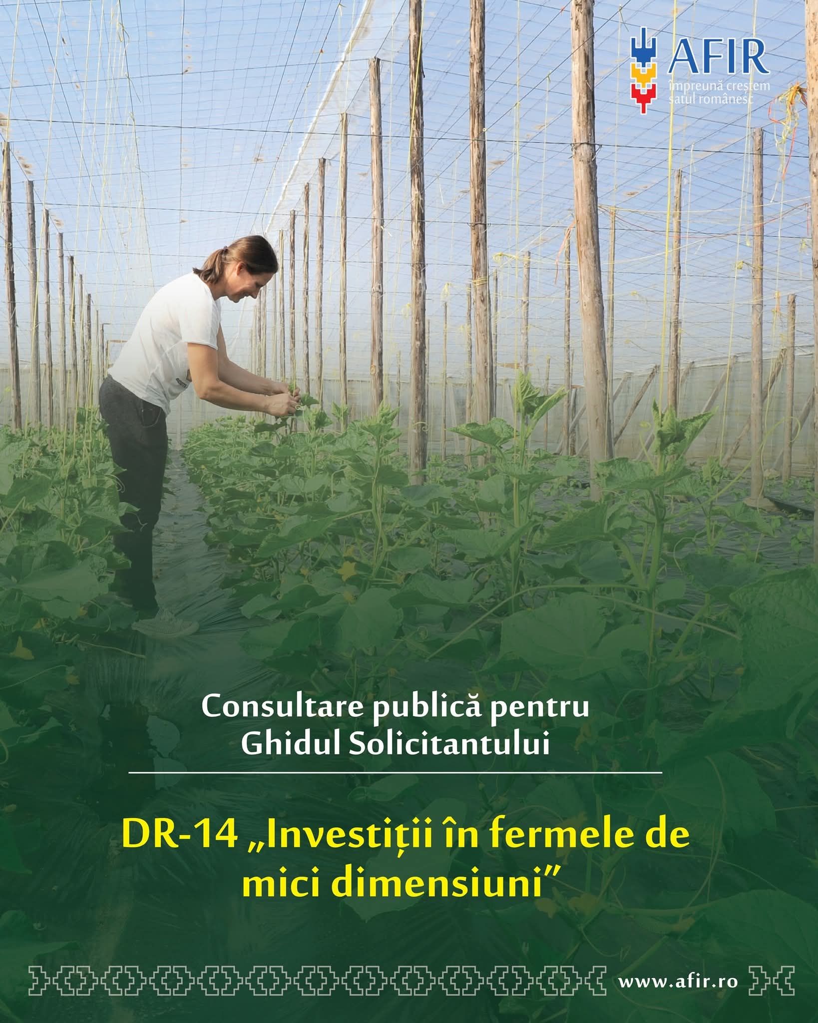 Investitii in feremele de mici dimensiuni AFIR