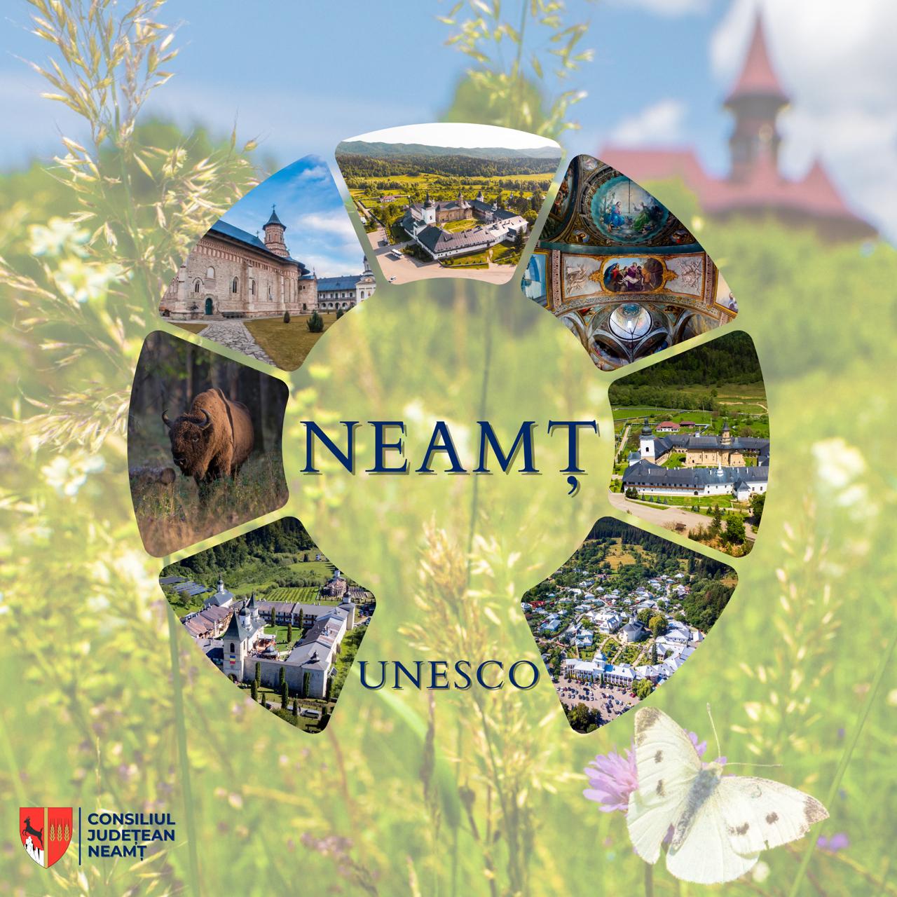 Vanatori-Neamt