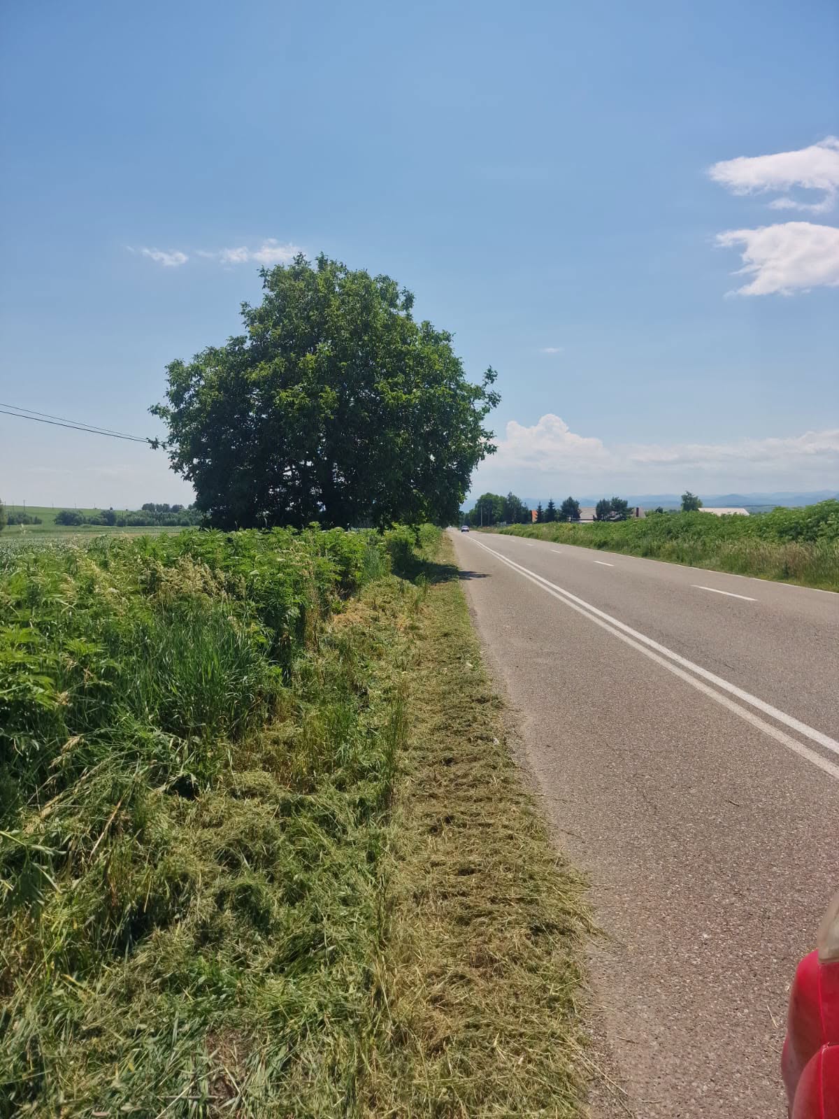 campanie curatare vegetație și de curățare a zonelor adiacente drumurilor județene