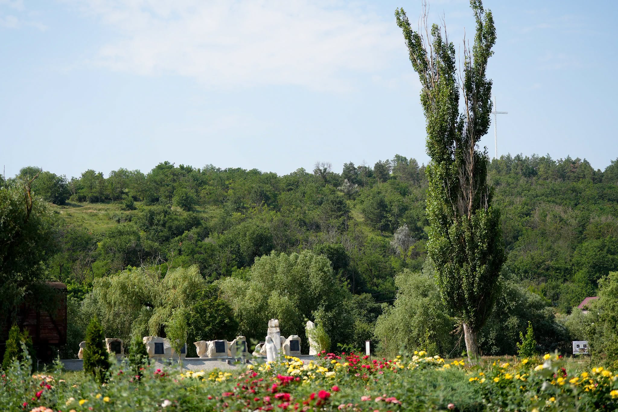 Memorie și Identitate